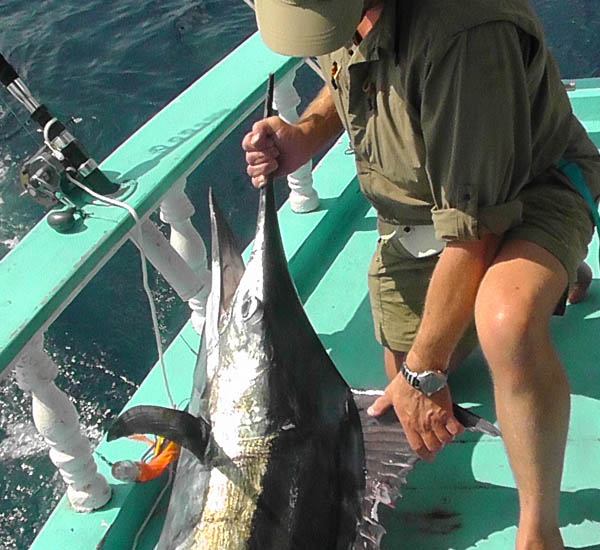 Jigging auf Dogtooth Tuna